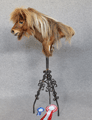 pony